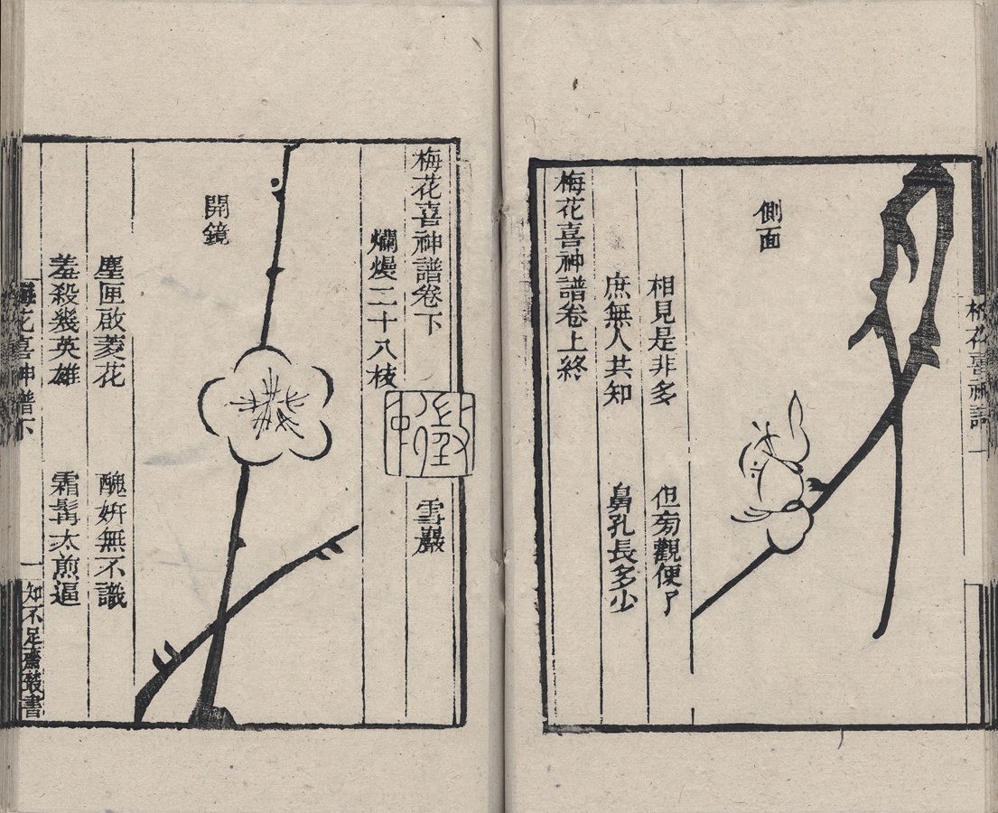 Chinese Baby Names Meaning Plum Blossom: Symbolism and Character Choices 1 chinese baby names meaning plum blossom opening scene showing plum blossom China